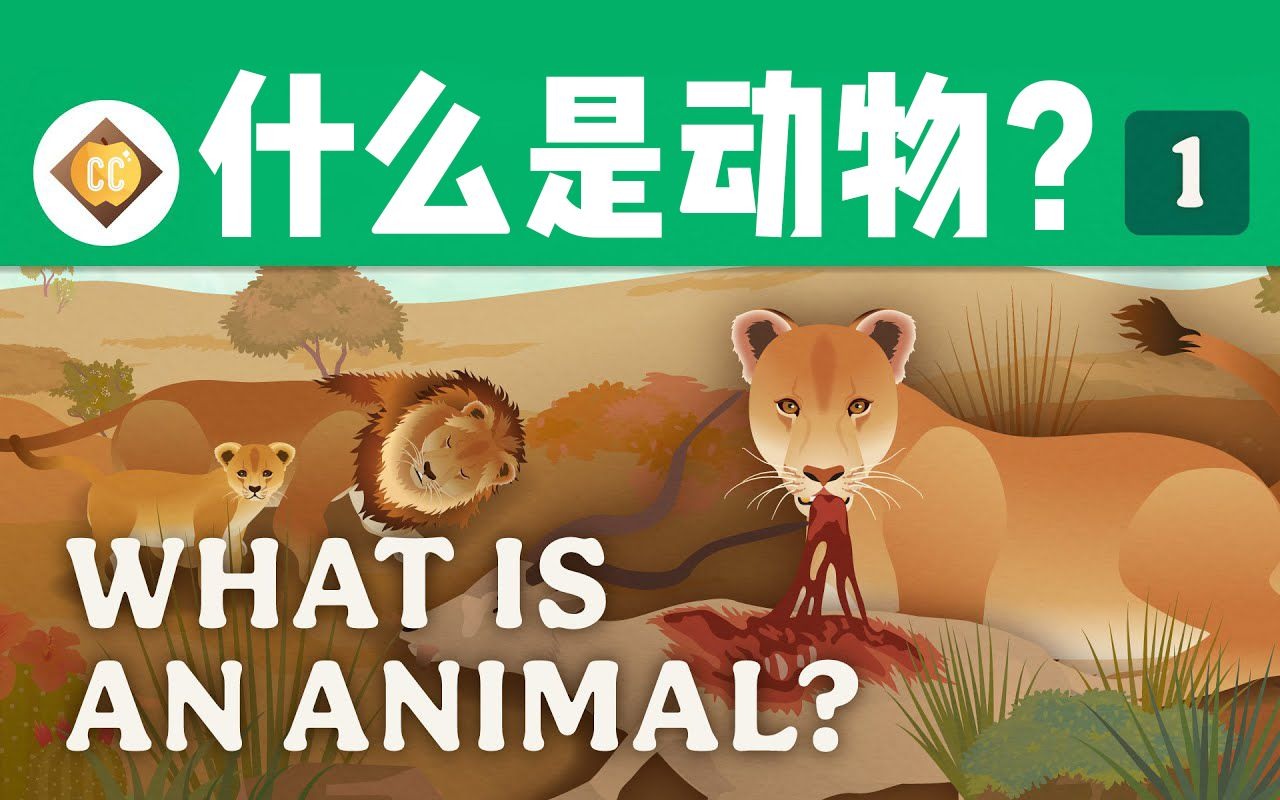动物帮帮忙 免广v1.0.8